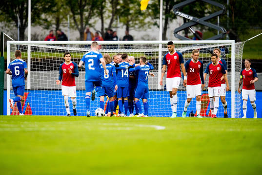 The players of Iceland celebrate the 1-1 goal