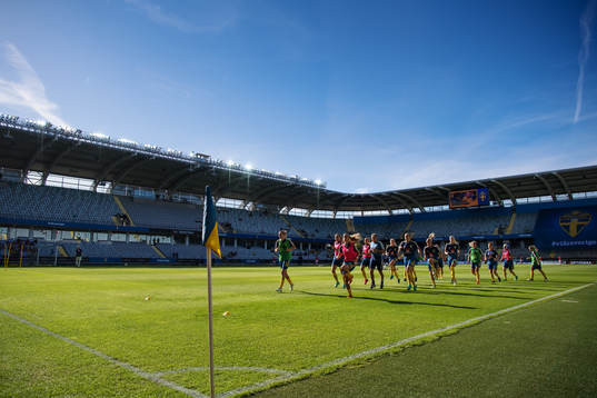 Sveriges spelare värmer upp