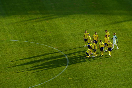 The Swedish players gather