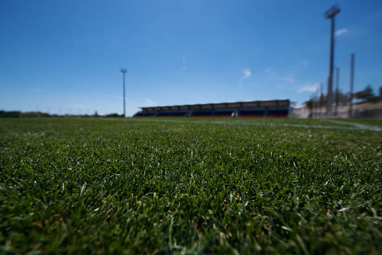 General view of the grass at Spartak Stadium