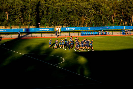 General view of the Swedish national football team