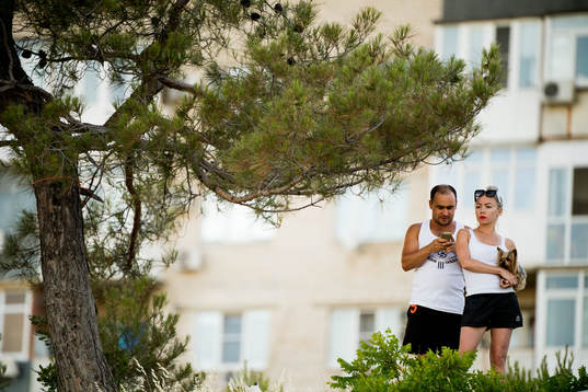 A couple following the Swedish national football team