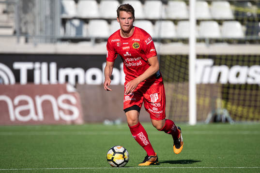 Elfsborgs Johannes Vedin