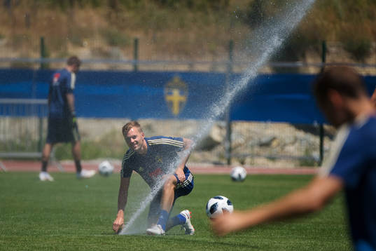 Sebastian Larsson of the Swedish national football team