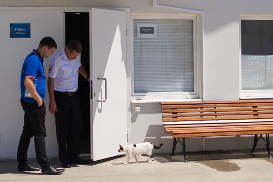 Police men watch a cat