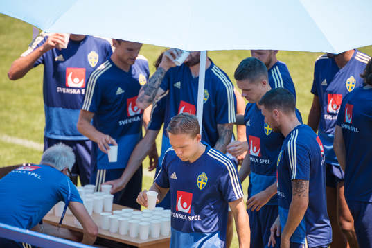 Ludwig Augustinsson and his teammates of the Swedish