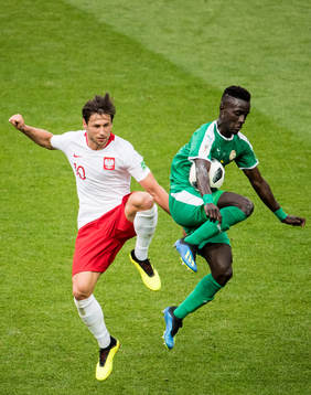 Grzegorz Krychowiak of Poland and Idrissa Gana Gueye of