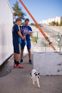 A cat walks past Emil Forsberg of the Swedish national