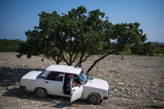 Security personel sits in a car parked by a tree