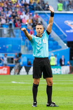 Referee Damir Skomina