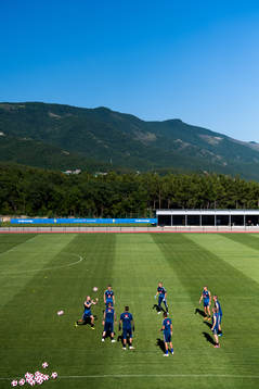 The Swedish national football team is gathered at a