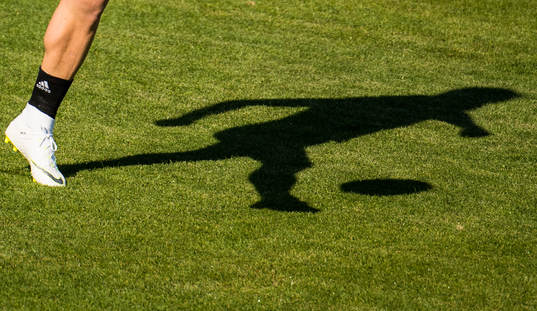 The shadow of John Guidetti of the Swedish national