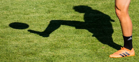 The shadow of Oscar Hiljemark of the Swedish national