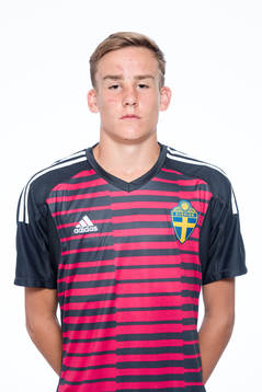 Hampus Gustafsson,  Målvakt i P17-landslaget