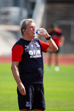 tränare Roy Hodgson