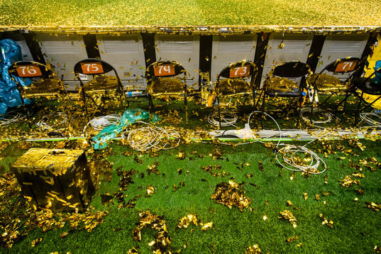 Gold confetti