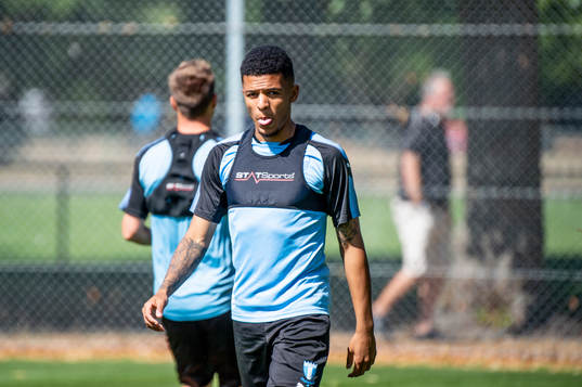 Romain Gall