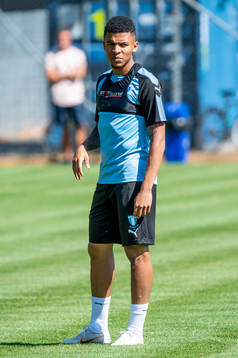 Romain Gall