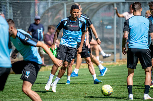 Romain Gall
