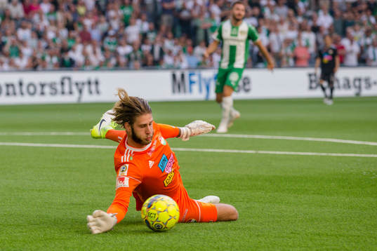 Dalkurds målvakt Stefan van der Lei