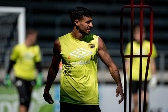 Rami Kaib