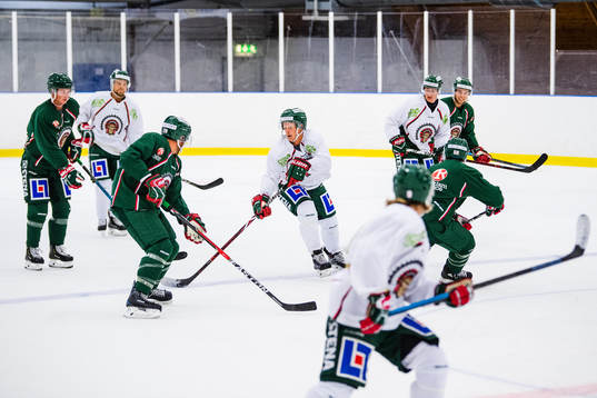 Max Friberg med puck
