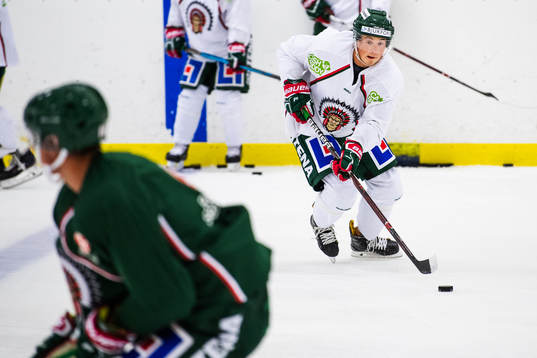 Joel Mustonen