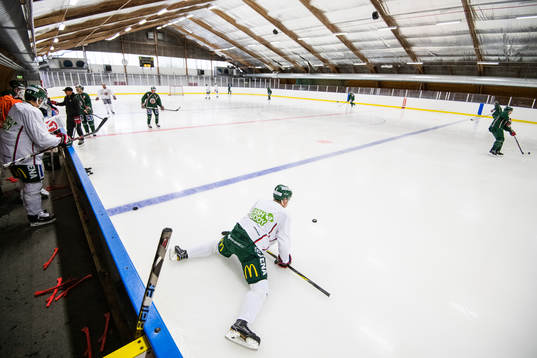 Spelarna på isen