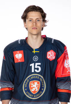 s Dominik Bokk 2