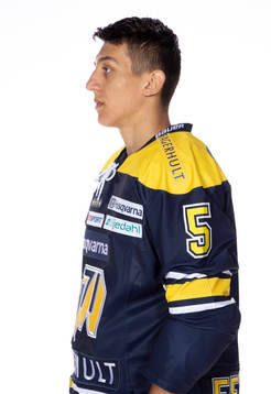 HV71s Martin Fehervary