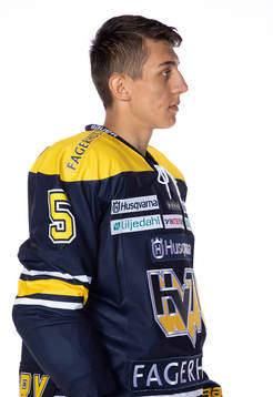 HV71s Martin Fehervary
