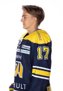HV71s Isac Brännström