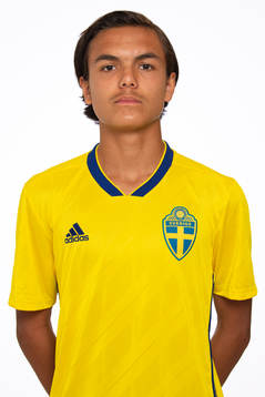 Daniel Mozaffari i P15-landslaget