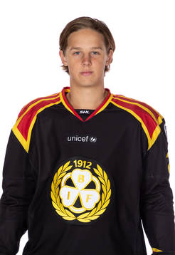 Brynäs Marcus Westfält