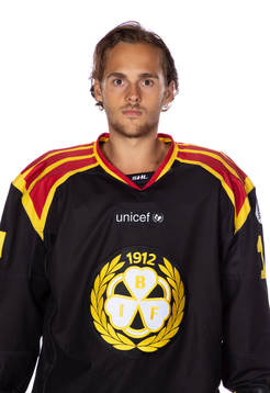 Brynäs Alexander Bjurström