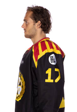 Brynäs Alexander Bjurström