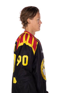 Brynäs Jesper Boqvist