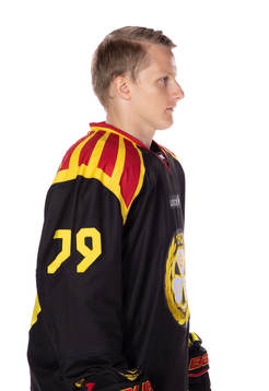 Brynäs Daniel Mannberg