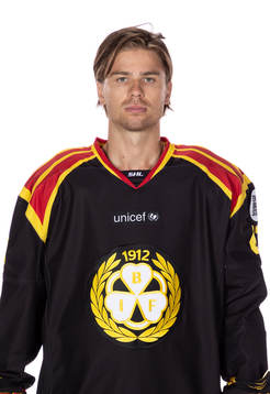 Brynäs Eric Norin
