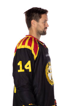 Brynäs Johan Alcén