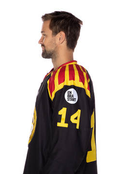 Brynäs Johan Alcén