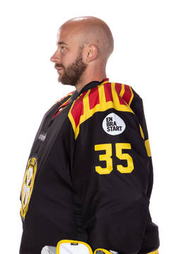 Brynäs David Rautio