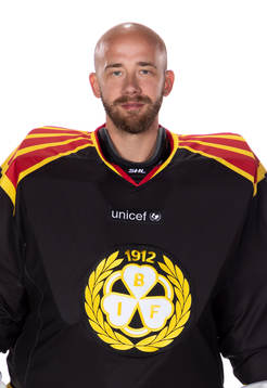 Brynäs David Rautio