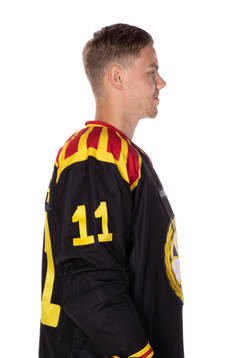Brynäs Joel Kellman