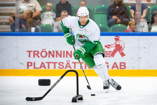 Rögles Ted Brithén