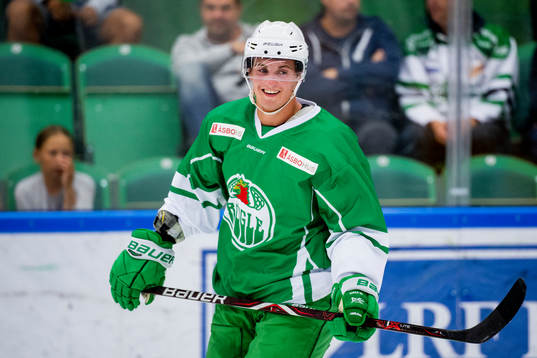 Nils Höglander