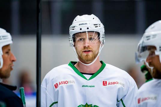 Ted Brithén