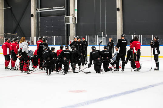 Malmö Redhawks tränare Peter Andersson instruerar sina
