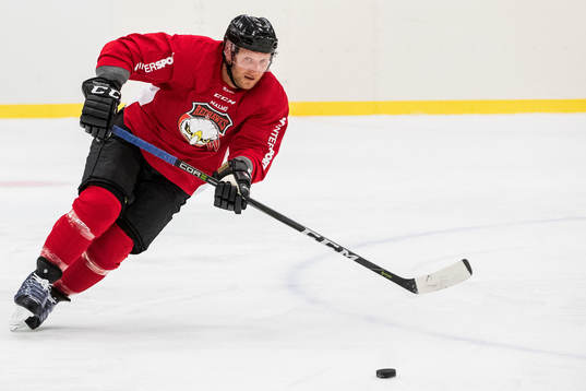 Malmö Redhawks Frederik Storm