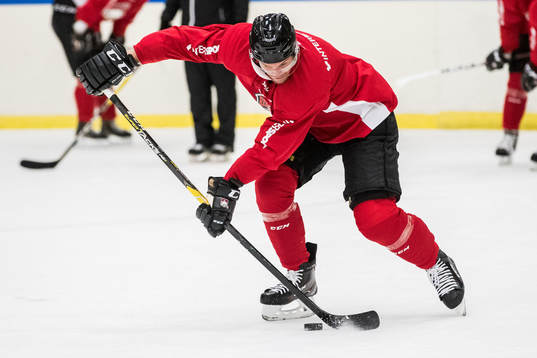 Malmö Redhawks Emil Molin